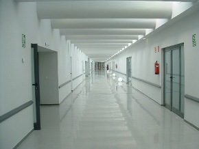 Estructura fisica (pasillo personal)